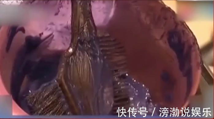 理发师|理发店成流氓场所,女生头发刚剪完,两名壮汉就进行“服务”