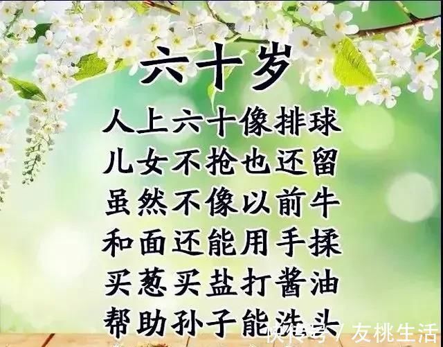 小一个样$20-80岁的人生顺口溜,话虽不好听,却很真实,谁编的真有才