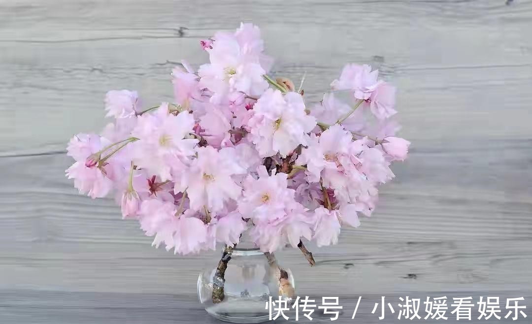 偏心|亲兄弟之间为什么会像“仇人”一样?多半因为这些原因