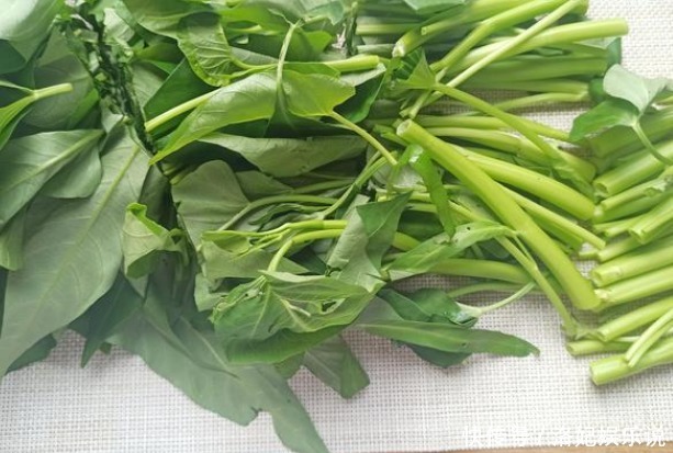 不该|炒空心菜,最不该直接下锅,行家只需一招,翠绿不发黑,营养美味