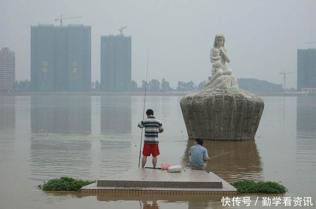 水草|大鲫鱼藏在哪这5个地方都是鱼窝,看你错过了多少鱼