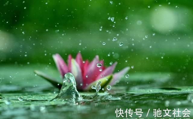 古诗$一首唐诗以一语双关闻名,你可以不会背,但最后7字却写进你心里