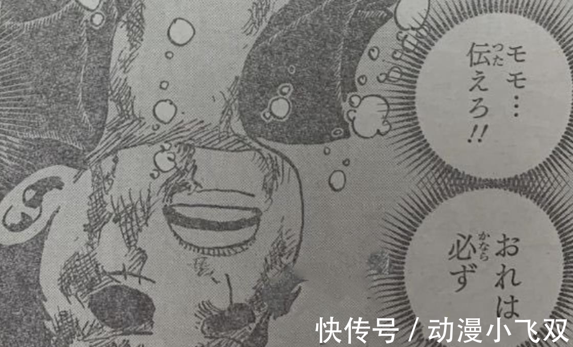 草帽团|海贼王1015话：山治使用索隆，锦卫门牺牲