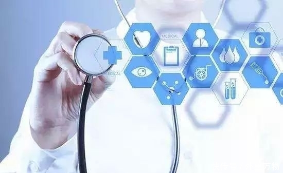 被称为“长寿之果”的红薯,你知道它的功效吗?