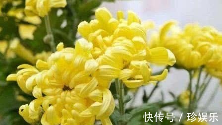 干眼症|最有营养的3种食物,值得天天吃一些,补充营养、滋润身体