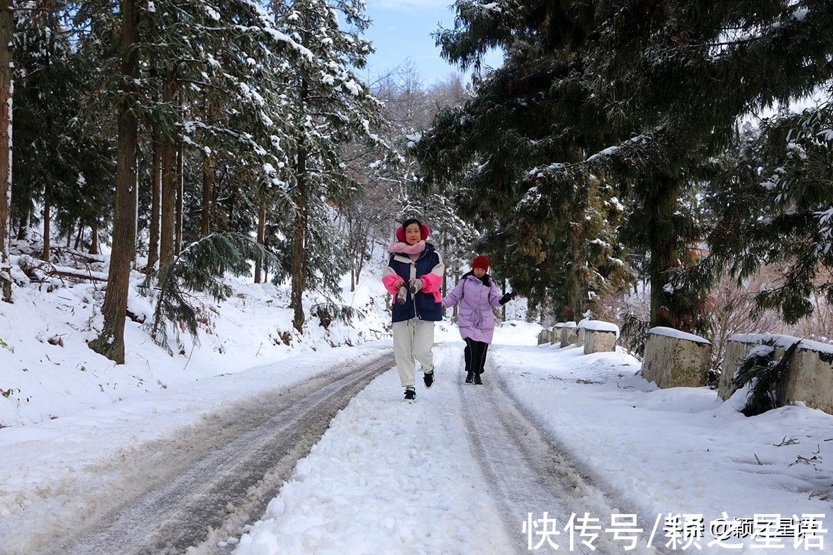 鹿亭乡|宁波赏雪胜地，东岗天池，林海雪原，天然滑雪场