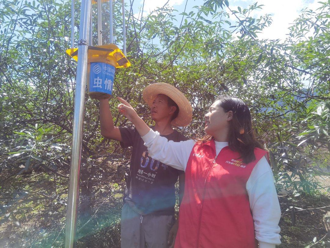 智慧农业|“瓦吉瓦，机器人牵手青花椒” 中国移动四川公司5G+智慧农业助力彝区乡村振兴