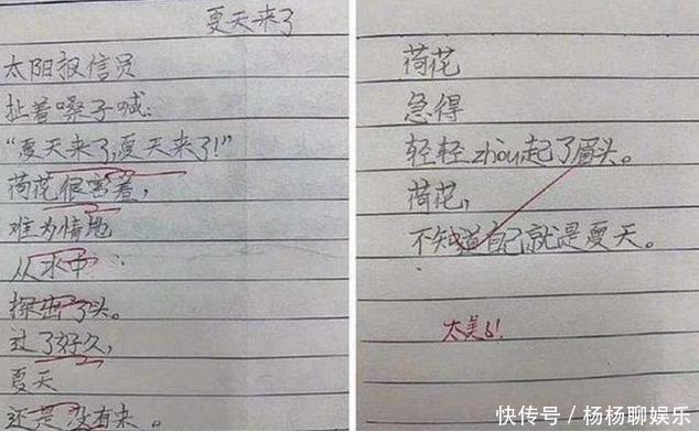 小学生满分作文《我的理想》走红，老师批语抢镜小心你同桌