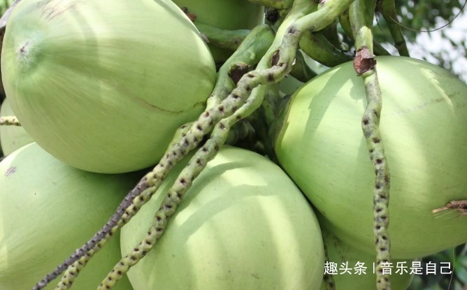 补充蛋白质|女人不想早衰,建议吃4种食物,养肌护肤,美颜抗衰,能祛皱润肤