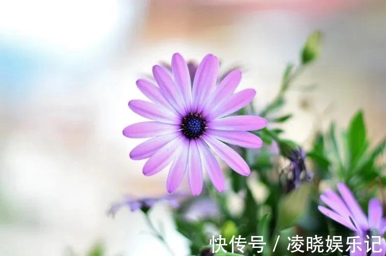 月经|不补身体虚，一补就上火，你可能是上热下寒了，4招帮你搞定
