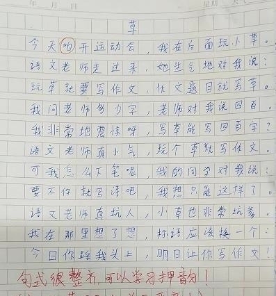 这4篇小学生作文意外“走红”，一篇比一篇“煽情”，老师都服了！