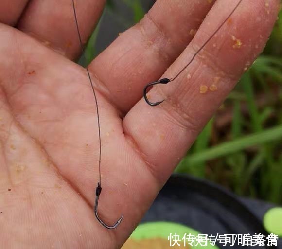 红薯|钓了18年鱼后才明白,红薯经过这样“加工”以后,钓大鲤鱼特有效!