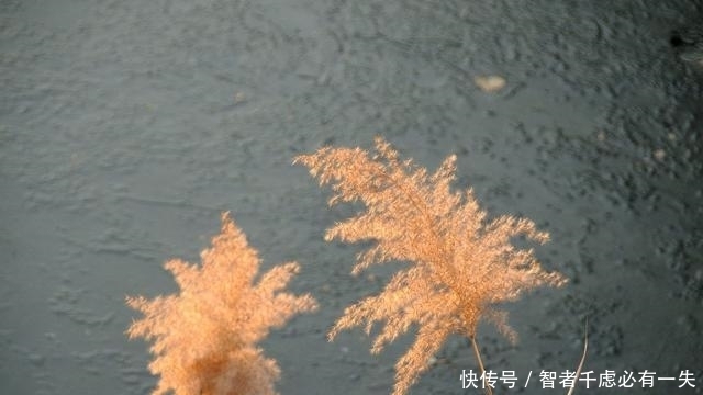 人生|多少人败在不会处理人际关系!牢记王阳明这一天规,人生越来越顺