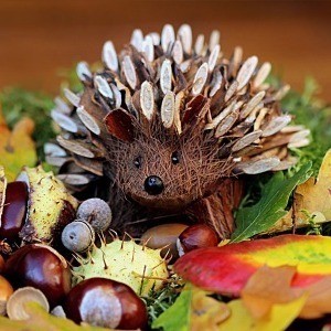 短命的大凤号航空母舰 原本优秀的设计 却成为了自身的催命符 快资讯