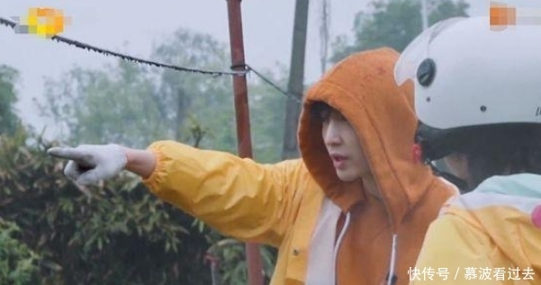 黄磊 杨紫张艺兴太好磕了 !简直就是偶像剧