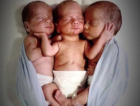 英国|英国曾经最萌的三胞胎长大了,现在的模样再次萌翻众人