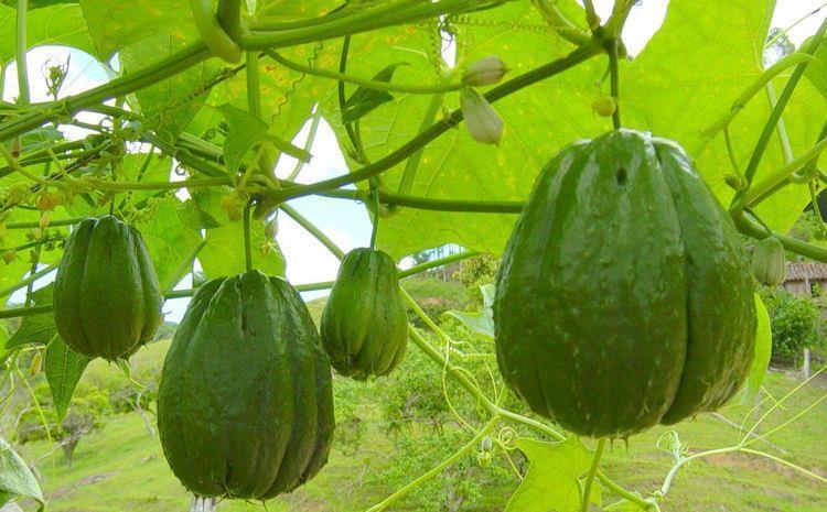 老太|女人不愿老太快,要学会吃3种食物,营养丰富,排毒瘦身,试试看