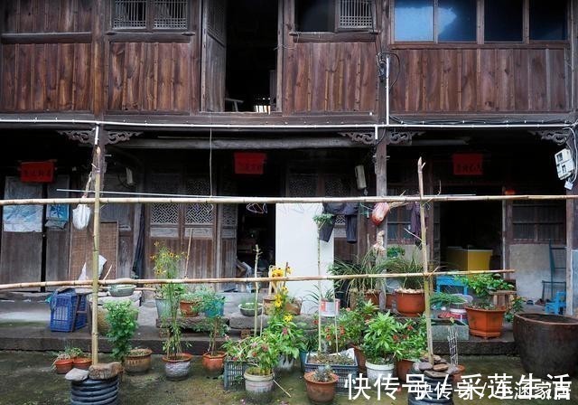 颗粒肥|养花不用颗粒肥,靠“它”也能让花草续命,效果还好