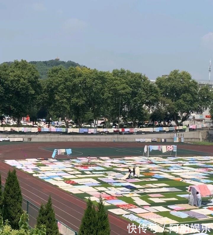 螨虫|5个看似高大上,实际却是鸡肋的家居用品,别再交智商税了