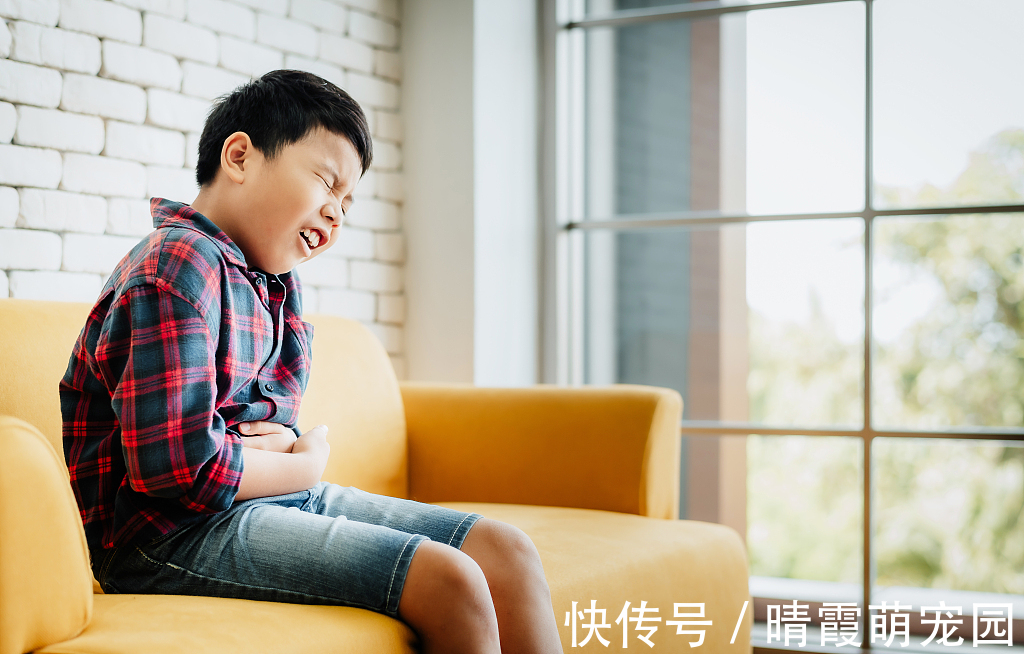 海鲜|咳嗽不能吃糖?感冒不能吃鸡蛋?孩子生病最怕的“发物”有哪些?