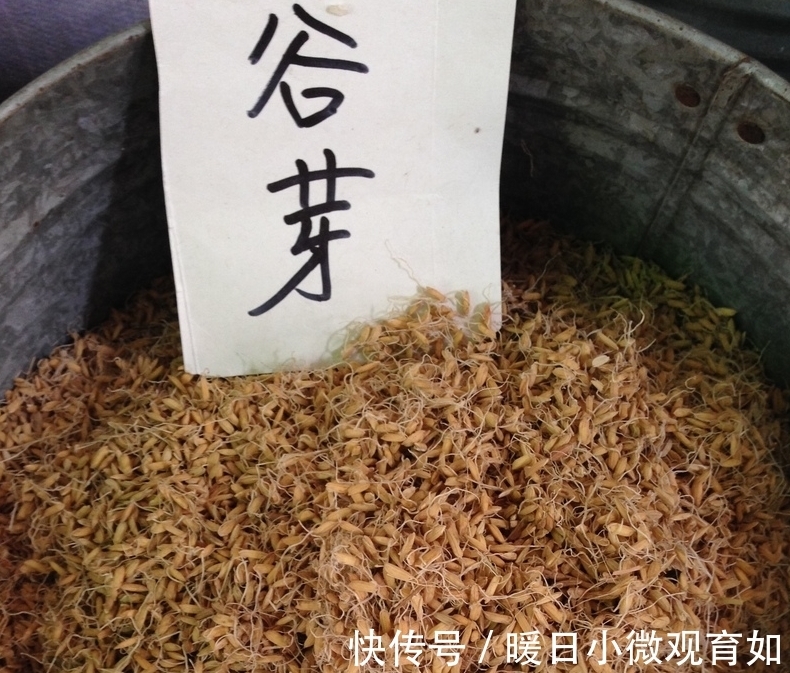 谷芽|用这个土方法钓鱼,一次钓了十几条大鲤鱼大草鱼,高手在民间啊