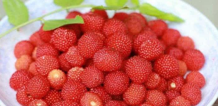 毒素|人到中年要会吃,坚持吃3种食物,降压减脂,排毒素,增强抵抗力