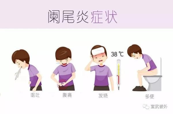 鲈鱼汤|小小的阑尾，也能惹出大麻烦！