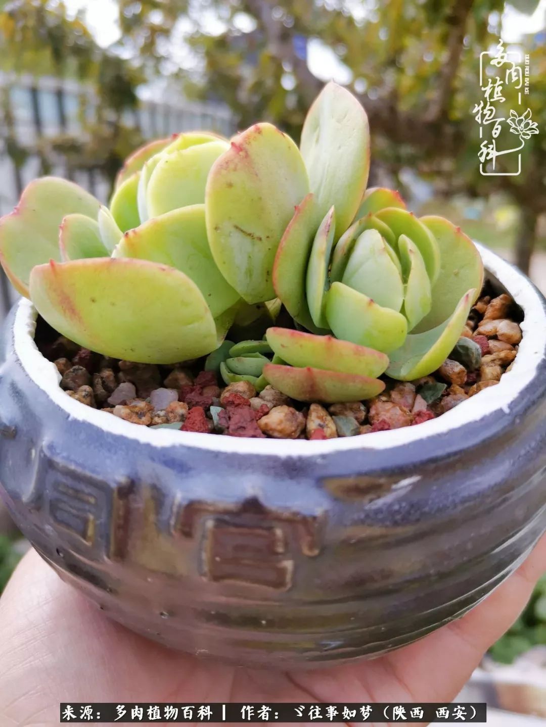 愿你付出甘之如饴,愿你所得归于欢喜!