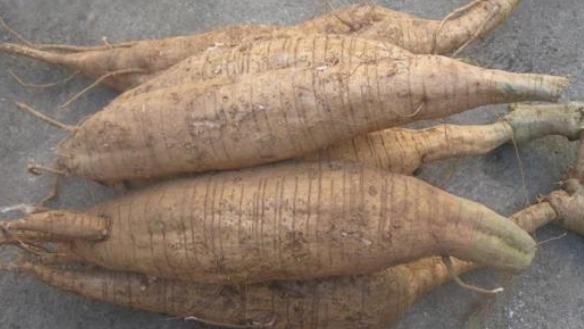 补充|更年期女性再没钱，也要多吃3种食物，补充雌激素，人也显年轻