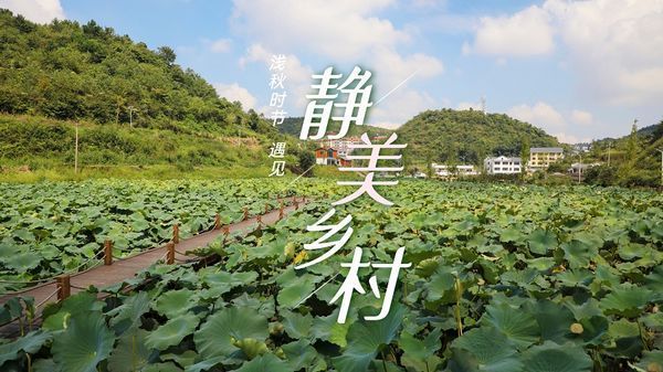 浅秋|浅秋时节 遇见静美乡村