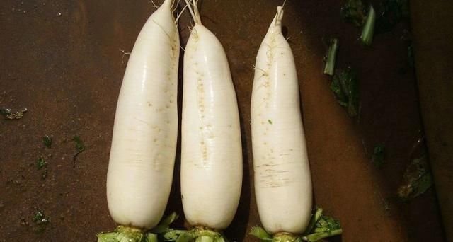 健康|白萝卜可和此物一起吃,头发变黑了,也不脱发了,谁吃谁健康