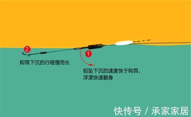 飞铅钓法详解:把铅坠往上提就叫飞铅钓,动态诱鱼的不二选择