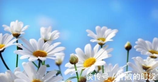 幸福的生活|6月末，财神降临，负债清零，一身轻松，加倍努力，成为人上人