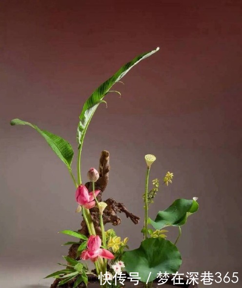 通透|佛教真理经典句子,睿智通透,顿悟人生!