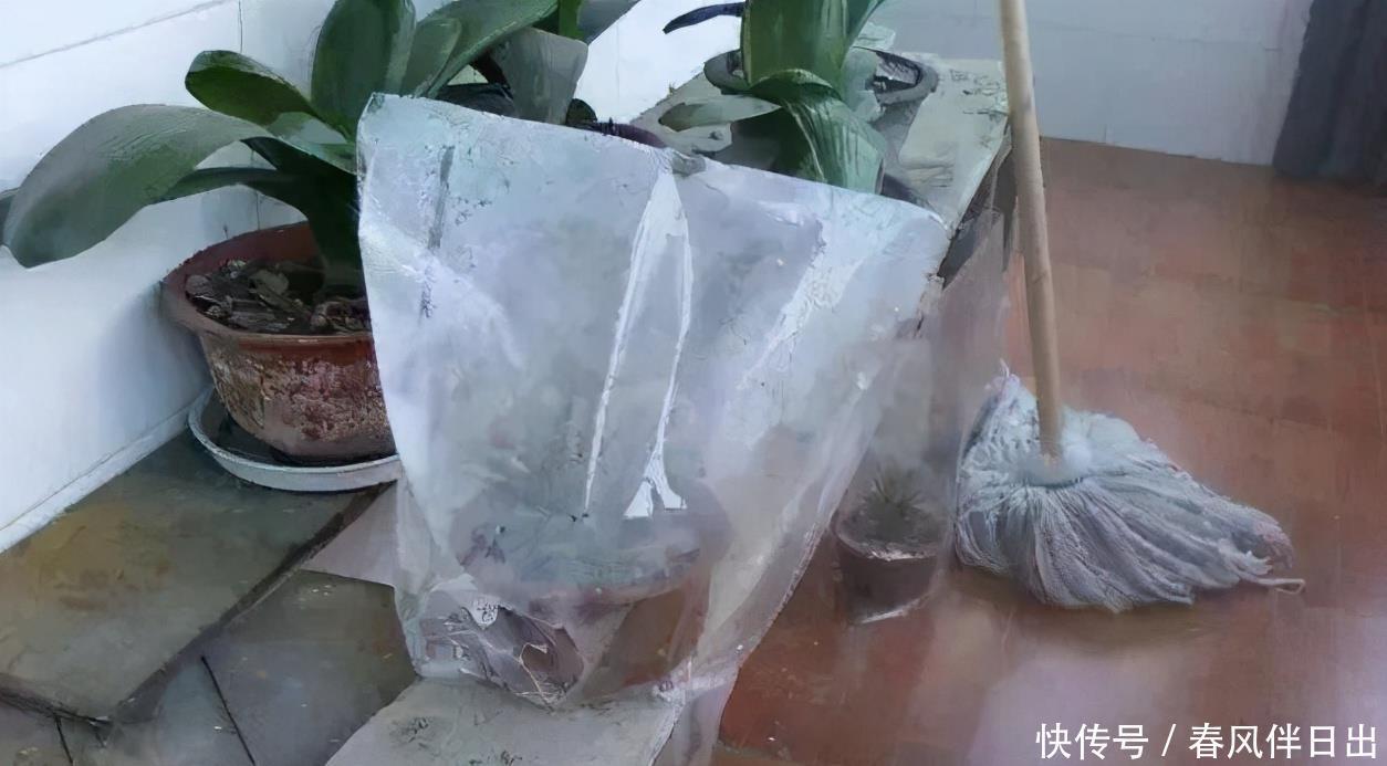 塑料袋作为生活垃圾,养花却堪称“全能”,用法多样