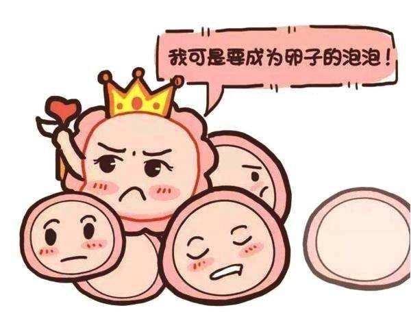 卵子|贝安:卵子最怕的7大行为,看看你是否经常犯?