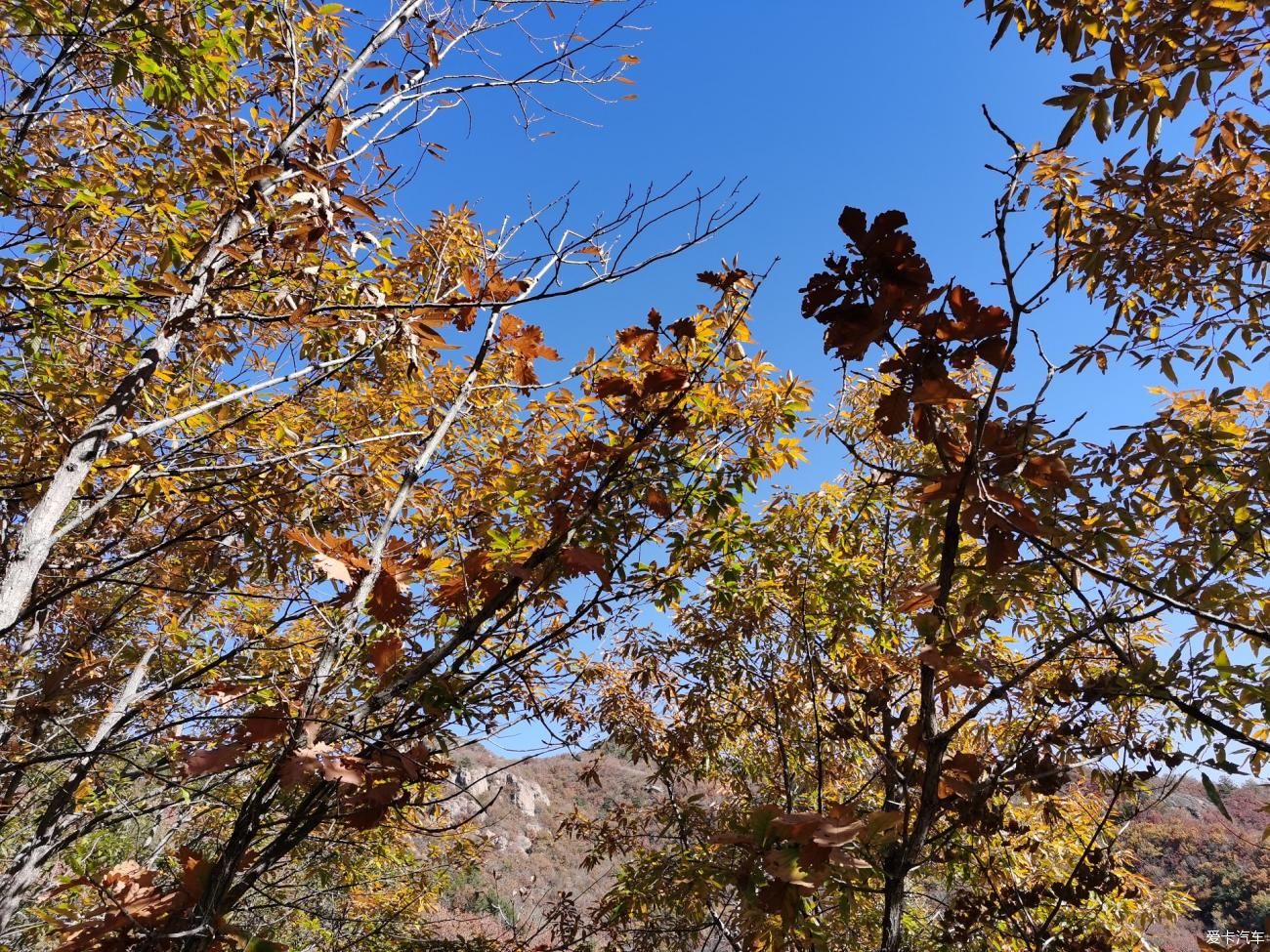 山上|沃们去旅行——山上风景独好（一）