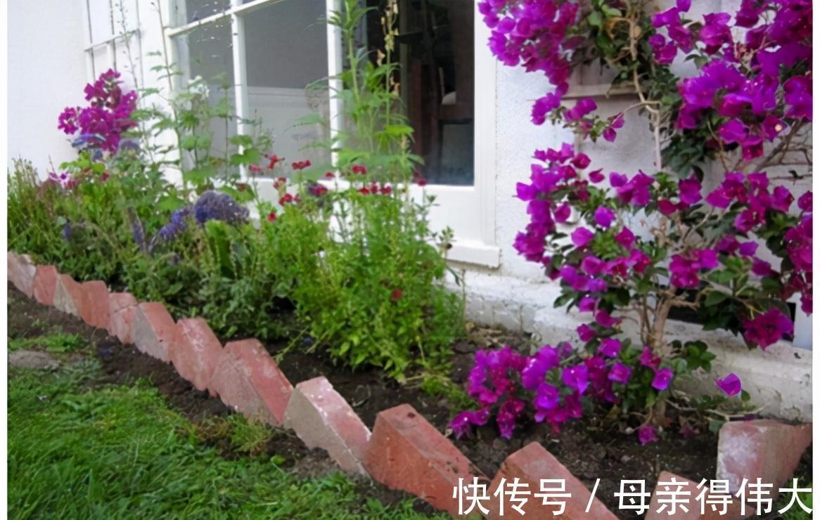 基础款|有院子就该捯饬,普通材料这么一弄有创意有美感,成本''两碗饭''