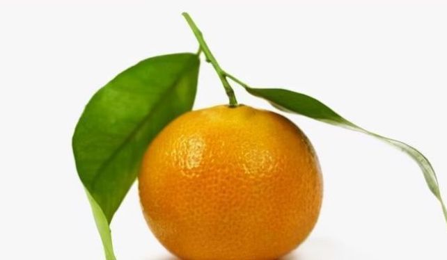 大鱼大肉|小年到,每家每户3种富贵果准备好,寓意健康长寿身体康健