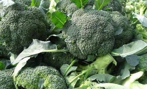 食物|子宫肌瘤的“催化剂”被揪出,医生:2类食物,尽快拉黑,别任性