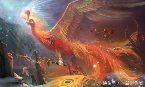 笔画|武魂测试:如果穿越到斗罗大陆你是什么武魂?我是火焰不死鸟!
