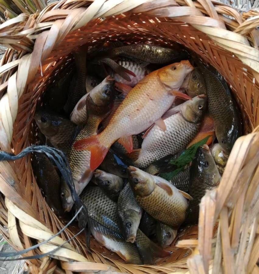 快过年了,客家农村“旱鱼塘”,你还记得吗?