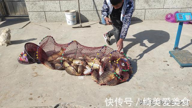 在德国钓鱼“人很惨”，在中国钓鱼“鱼很惨”，差距咋这么大呢？