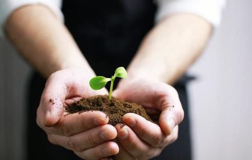 如何保护好孩子的牙齿?少吃甜食+认真刷牙,是最好的方法
