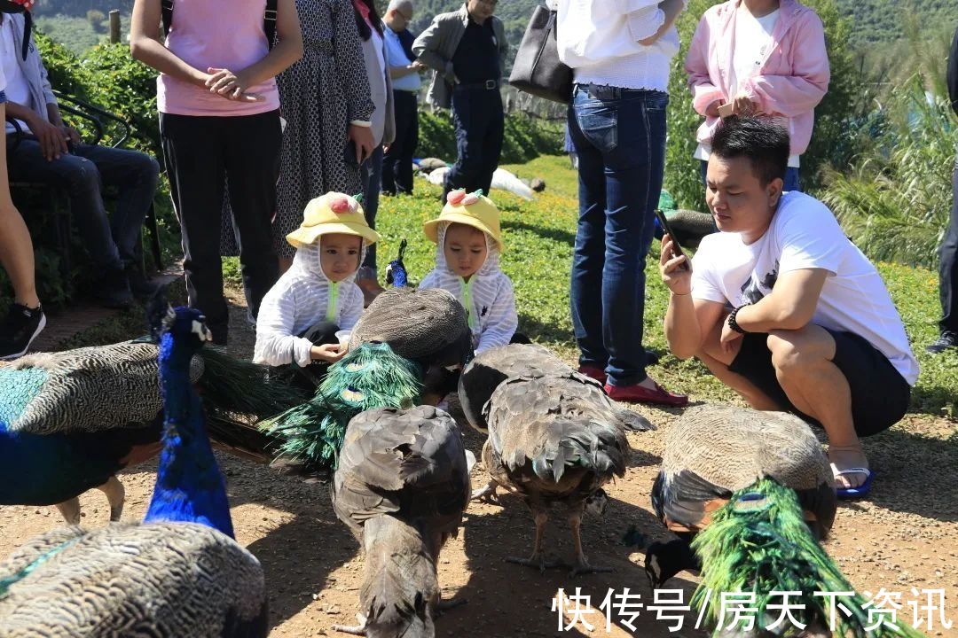 彩虹|云南恢复跨省旅游！勐巴拉假期深度游玩攻略大全奉上！速速收藏