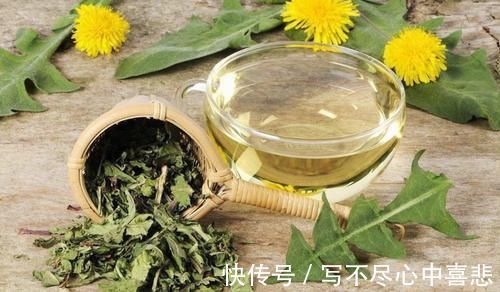 甲状腺结节|中药又立功?蒲公英两天内就能杀死98%癌细胞、消结节?揭开真相