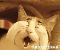 抓型@为什么没有绘画天赋的我,居然也能靠绘画养活自己