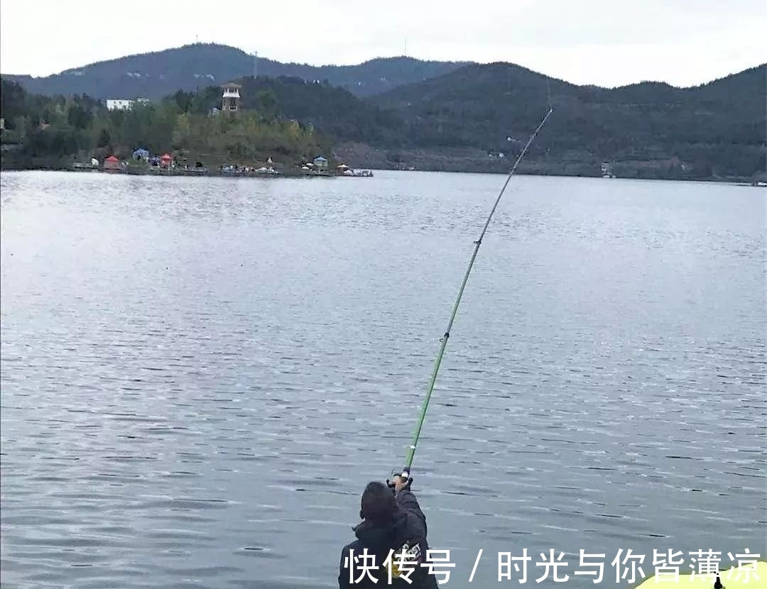 钓鱼的时候浮漂无动静,提竿却中鱼了,这是什么原因呢?