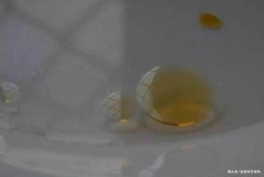 养长寿花,盆里滴5滴“它”,1年不施肥,也能开“爆盆”!