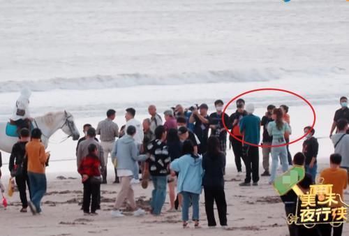 周九良 秦霄贤变“白马王子”,牵马时手放位置太抢镜,和白冰戴同款墨镜引争议